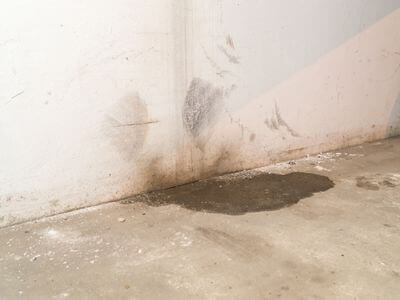 Professional mold remediation plano tx services in Plano